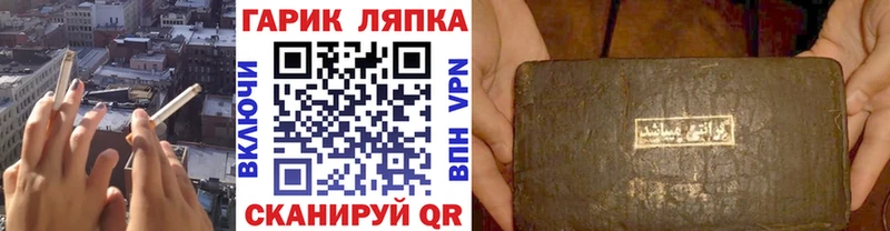 ГАШ Premium  Кириши 