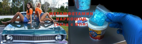 прущие грибы Верея