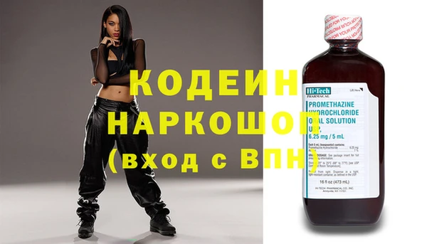 прущие грибы Верея