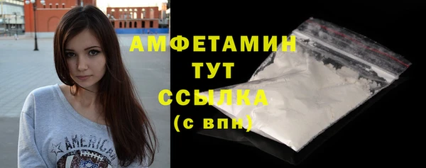 прущие грибы Верея