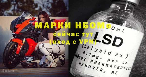 прущие грибы Верея