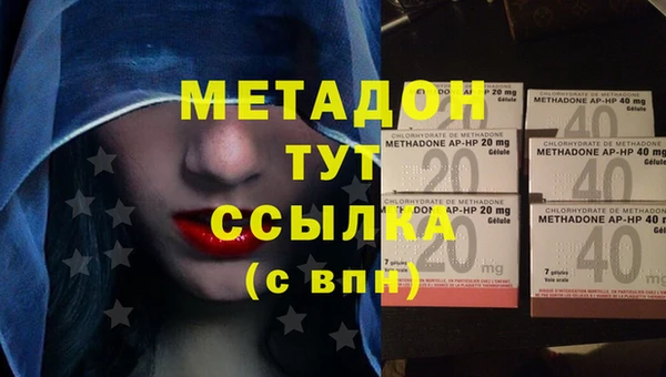 прущие грибы Верея