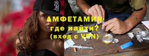 прущие грибы Верея